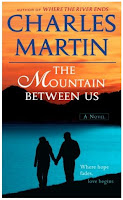 Image result for mountain between us movie