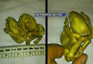μικρο ανθρωποειδές που μοιάζει με εξωγήινο  ανακαλύφθηκε στο Ιράν,