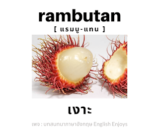 rambutan - เงาะ