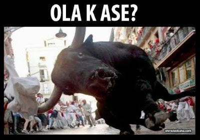 toro , ola k ase, encierro