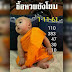 จัดไป! ซื้อหวยยังโยม งวด 1/11/61 แนวทางเลขเด็ดเณรน้อยรูปเดิม