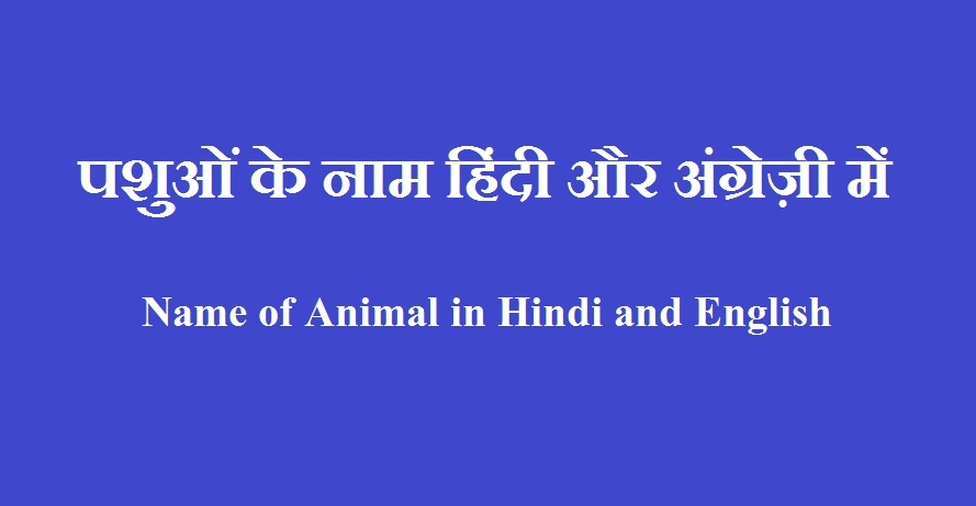 Name of Animal in Hindi and English 