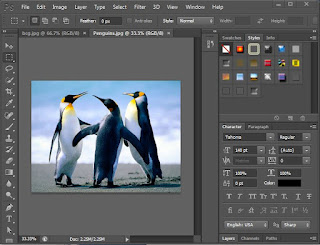 Photoshop