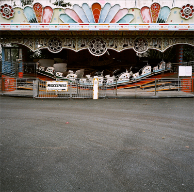 still dottie - found photographer andrew waits