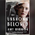 Capa Revelada: The Unknown Beloved: Amy Harmon