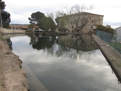 Aiguaviva - Selma - Pla de Manlleu; bassa d'aigua a Aiguaviva