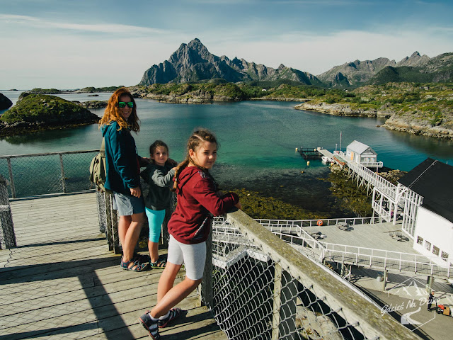 Oceanarium w Kabelvag, Lofoty, Norwegia