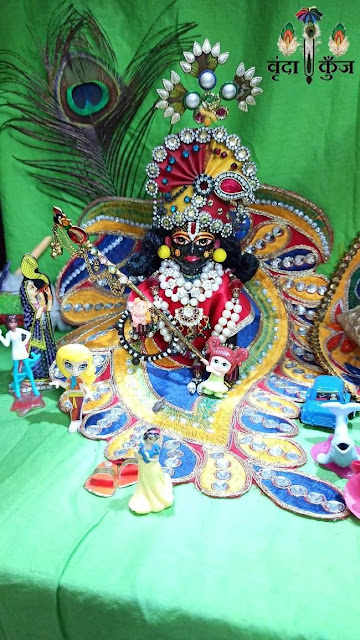 Kunj Bihari Ji, Kunj, Vrinda Kishori, Vrinda, Ladoo Gopal, Radha Rani