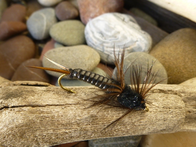 SOFT~HACKLE JOURNAL: Favorite Salmonfly Nymph