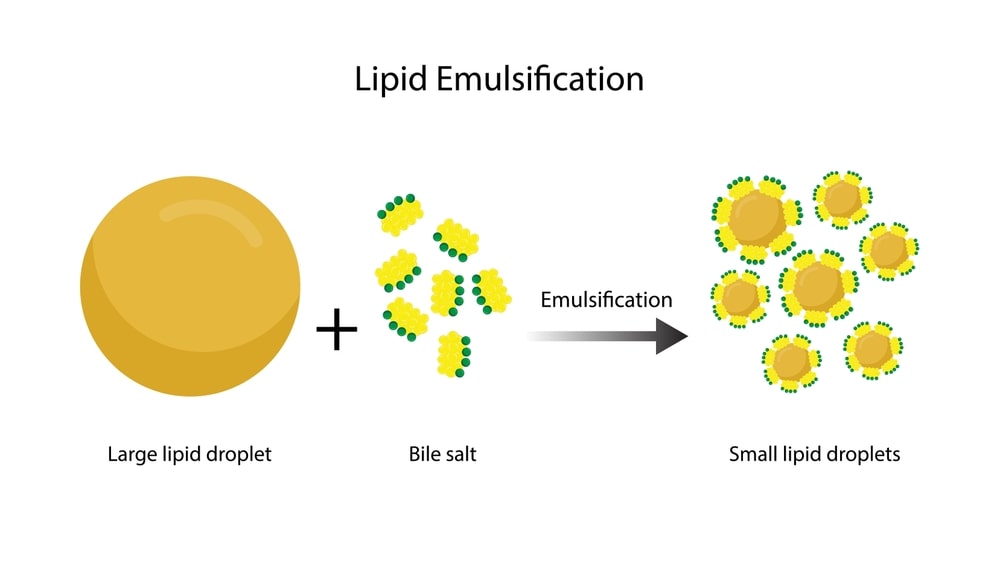 Theories of Emulsification