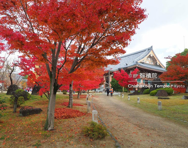 京都 智積院の紅葉