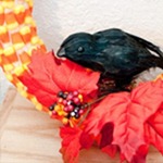 candycornwreath