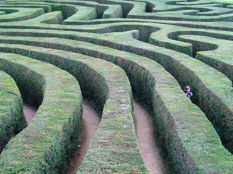 hedge maze, longleat hedge maze, longleat maze, largest hedge maze, biggest maze in the uk, biggest maze in the world, maze england, longleat maze solution, wiltshire's longleat maze, biggest maze in the world, longleat,