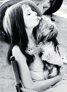 Miss Hepburn