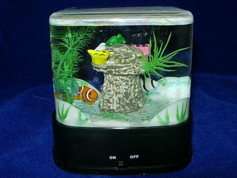 Aqua Garden