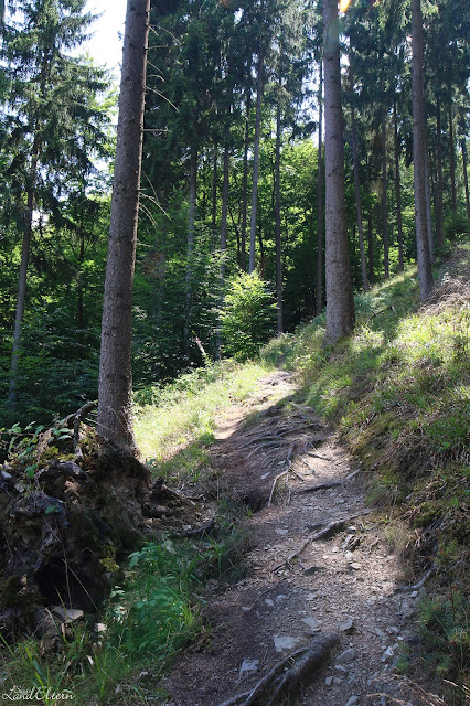 Stadtlandeltern - Wanderung - Traumpfad - Förstersteig