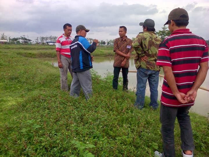 Raja Galah Sejahtera Girinata Pelatihan Tata Cara 