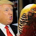 Chinese bird becomes famous for rocking the same hairstyle as Donald Trump