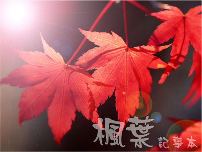 枫叶记事本