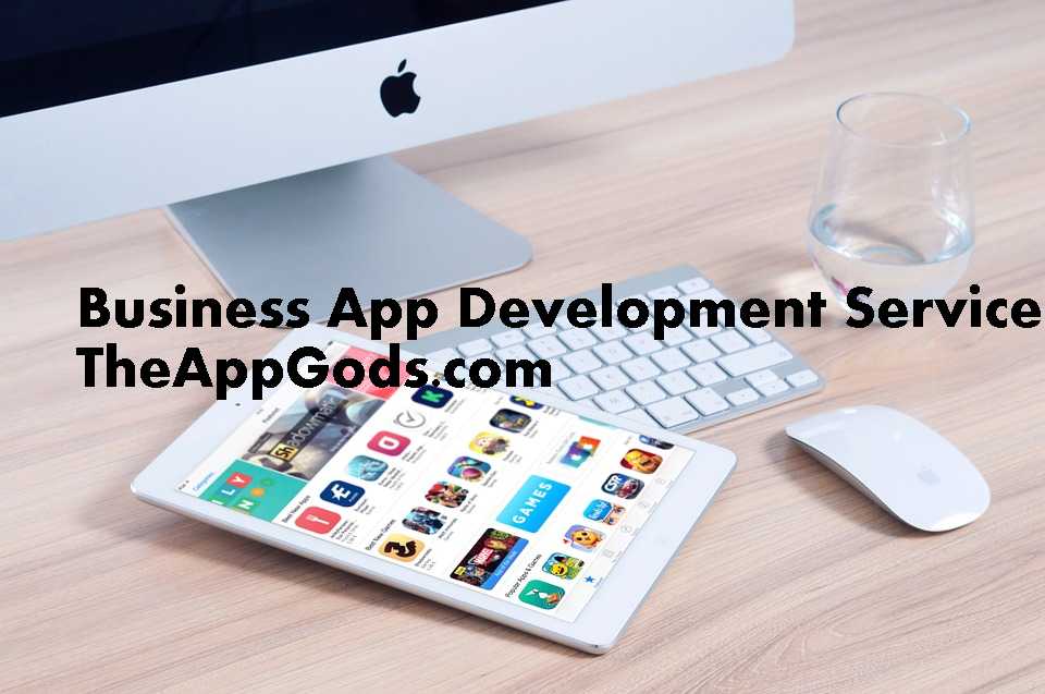 Software Developer App Development Service