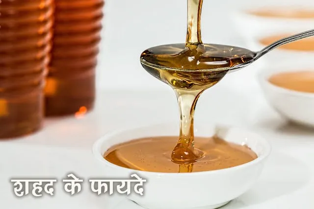 शुद्ध और मिलावटी शहद की पहचान कैसे करें Best Way to Check Pure Honey