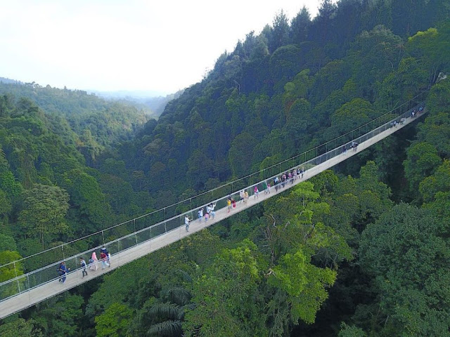 Jembatan Gantung Situ Gunung Sukabumi Jawa Barat