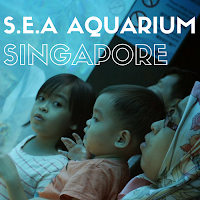 http://babynadra.blogspot.my/2014/01/sea-aquarium-malaysian-mommy-review-day.html