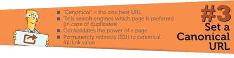 Set a Canonical URL