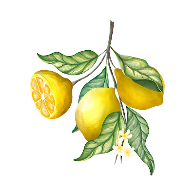 200 + Cartoon Images of Lemon fruit