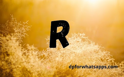 R name dp | R name dp pic | R name photo | R name wallpaper | R name photos