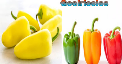 8 of the Health  Daily Vegetables Eating lifestyle