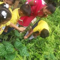 Mount Zion School Gangtok Sikkim