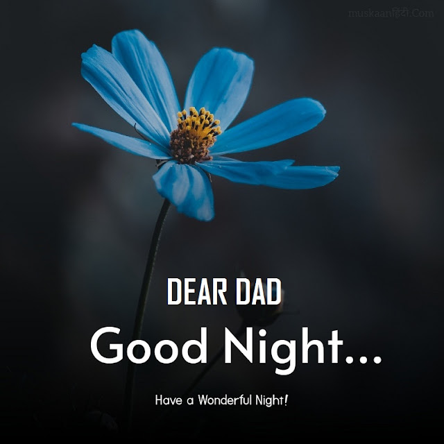 good night quotes for dad
