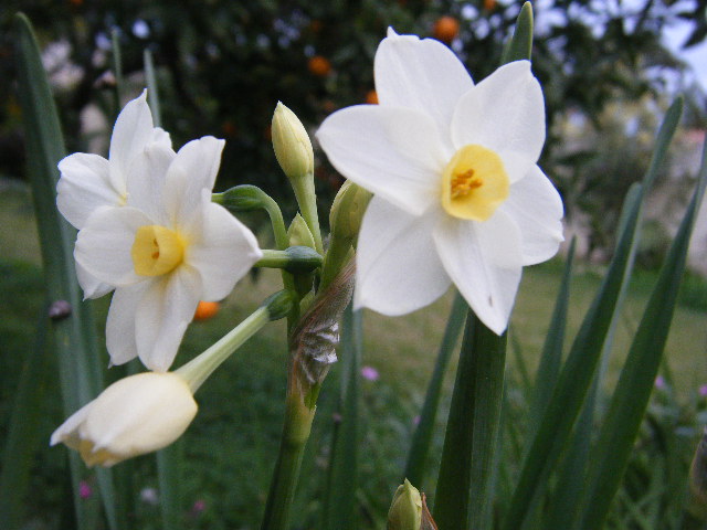 2008_12080017.JPG