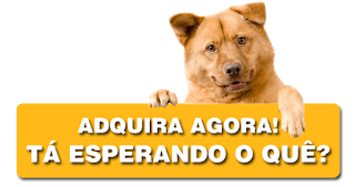 Alimentação Caseira Para Cachorro