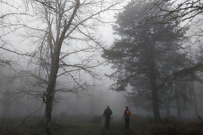 Agradable paseo entre la niebla