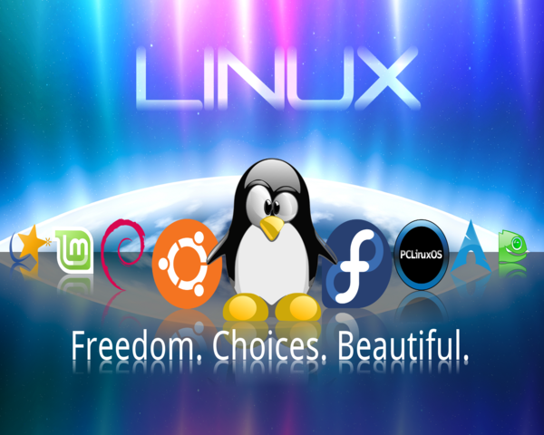 Linux دورة التعامل مع نظام