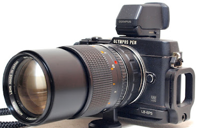 Olympus E-P5, Minolta MC Celtic 135mm 1:2.8