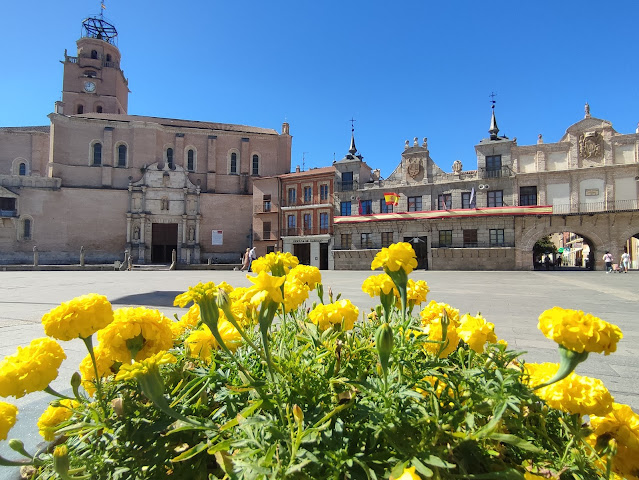 Qué ver en Medina del Campo