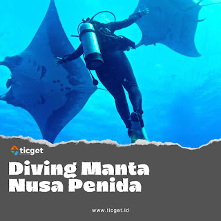 scuba-diving-experience-manta-point-nusa-penida-tour-and-ticket