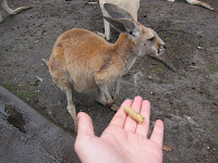 Caversham Wildlife Park