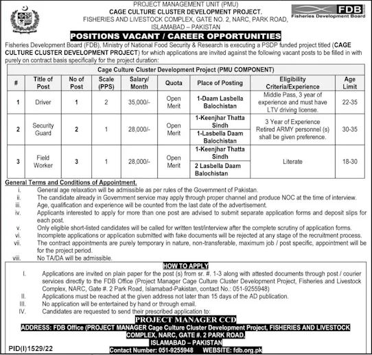 Punjab Mines and Minerals Department Jobs Advertisement