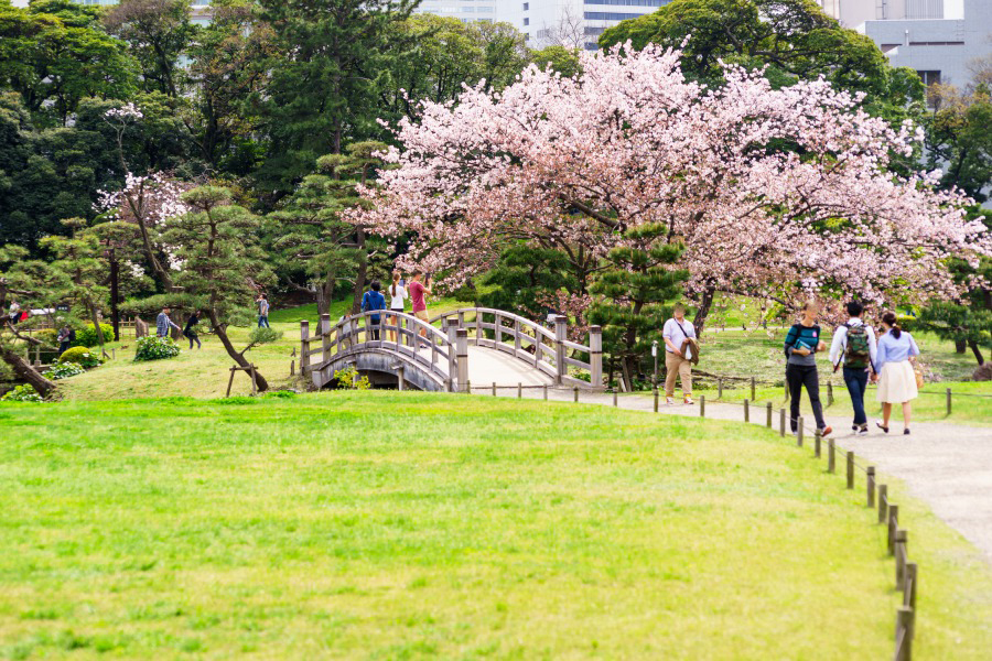 16 04 浜離宮恩賜庭園 で桜のお花見 山と社寺 そして 富士山