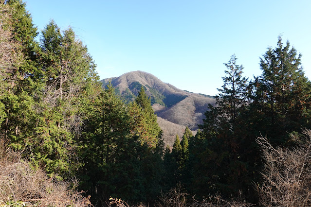 岡山県真庭市の蒜山下徳山 蒜山大山スカイラインからの眺望