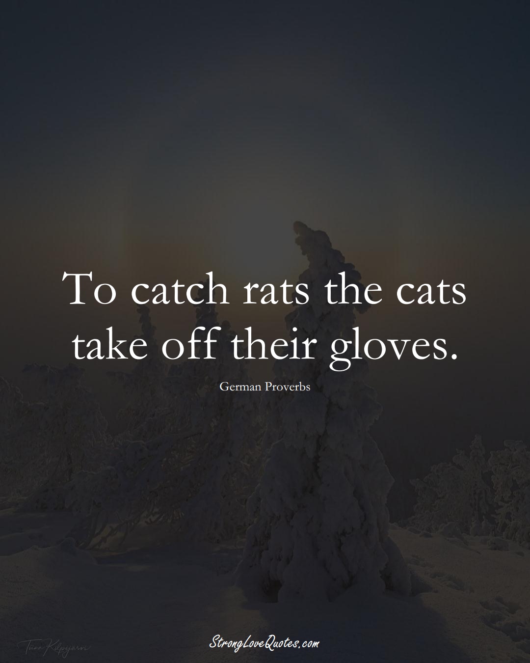 To catch rats the cats take off their gloves. (German Sayings);  #EuropeanSayings