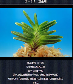  http://www.fuuran.jp/2-37.html