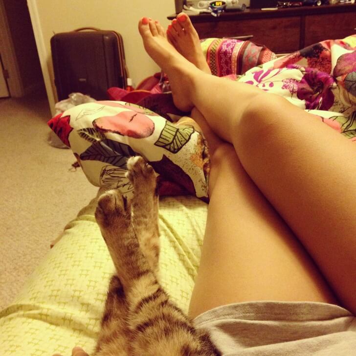 28 Hilarious Pictures Of Animals Imitating Their Humans Perfectly