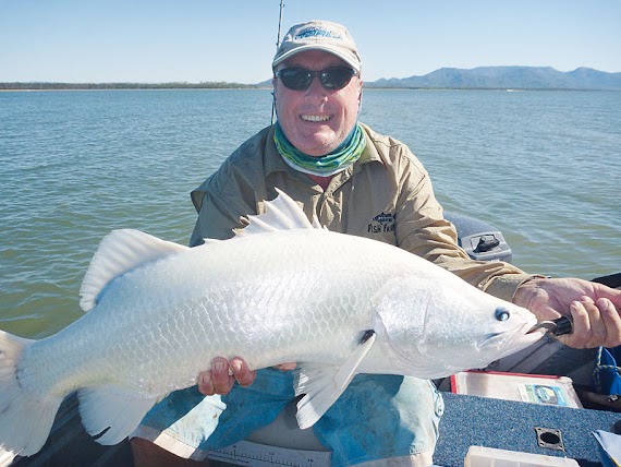 Barramundi Fish Images