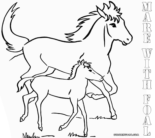 Coloring Pages For Free Baby Horse Colorings