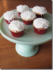cupcakes--and warm jan day 001